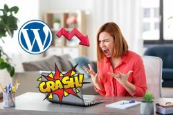 wpcrash.jpg XWhy You Should Always Backup WordPress