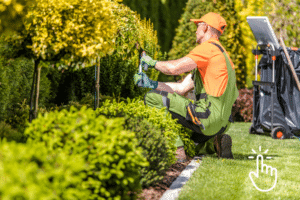 Landscaping Website Design