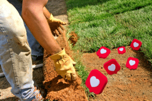 Landscaping Social Media