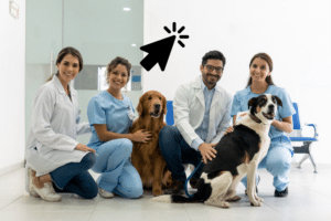 Effective Google Ads for Veterinarians