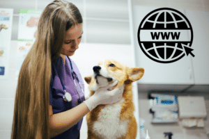 Veterinarian Website Design