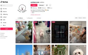 ourharu.com